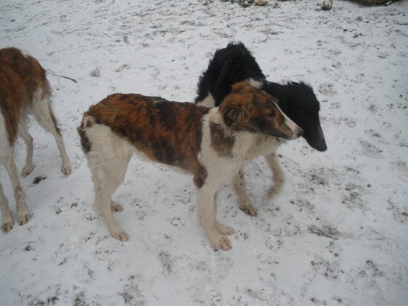 jeux ds la neige