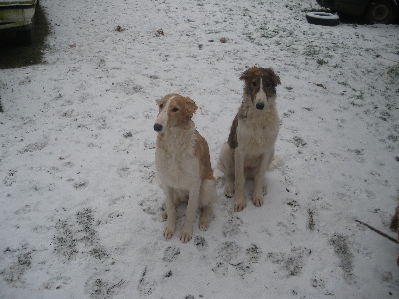 jeux ds la neige