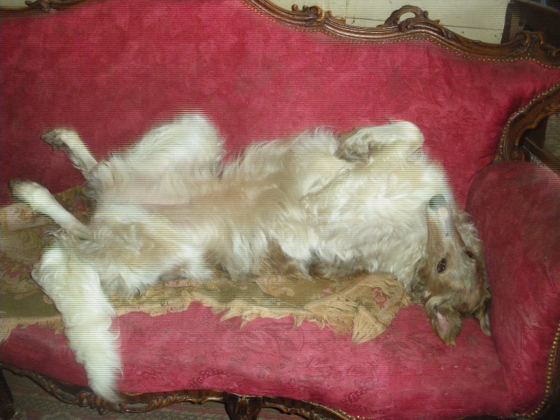 detente d ellina